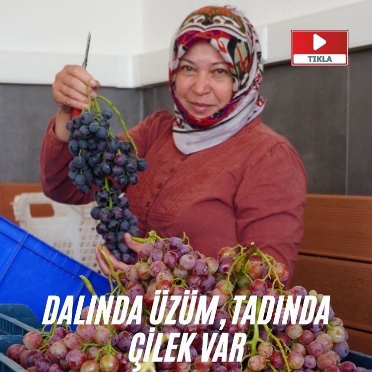 Dalında üzüm, tadında çilek var