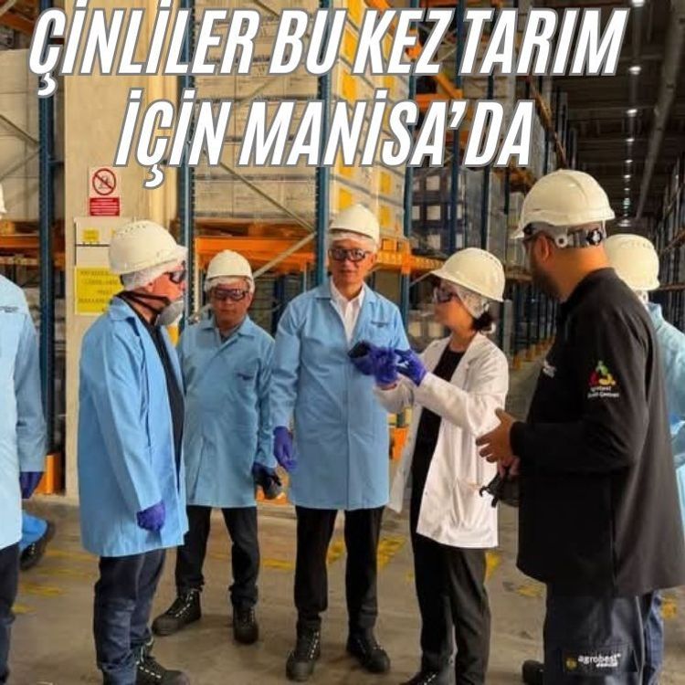Çin heyeti Manisa’da tarım ihracatı için incelemelerde bulundu