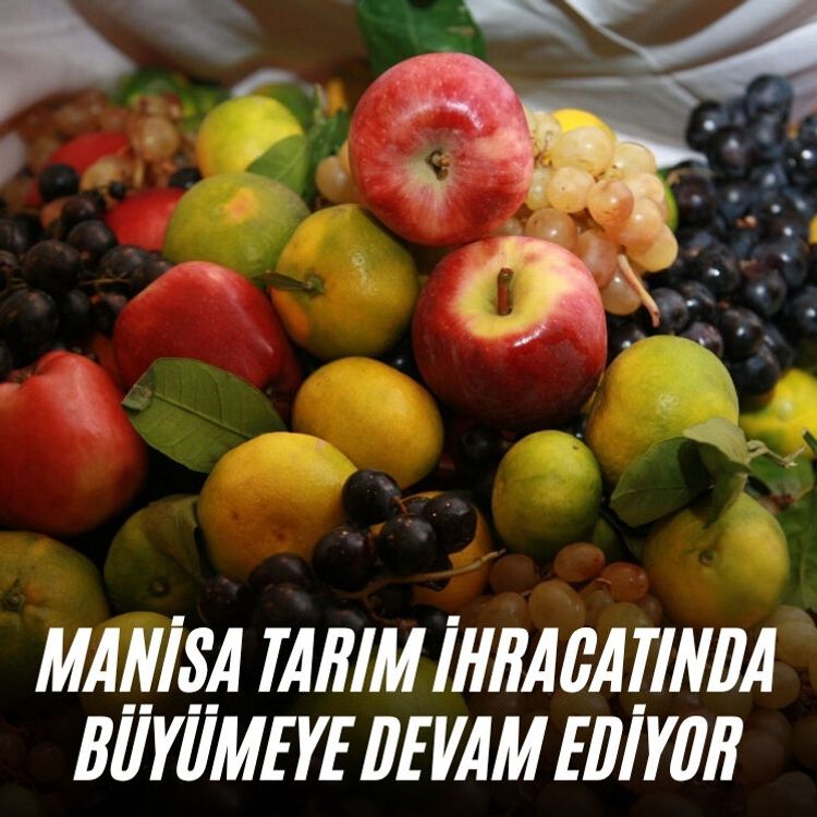 Manisa tarım ihracatında büyümeye devam ediyor