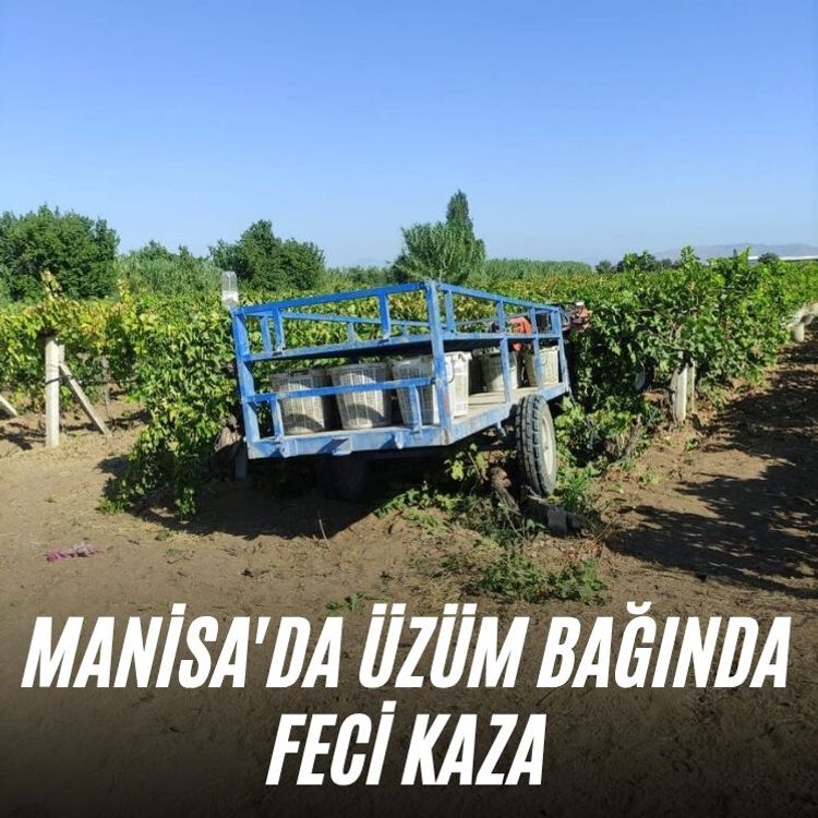 Manisa'da üzüm bağında feci kaza