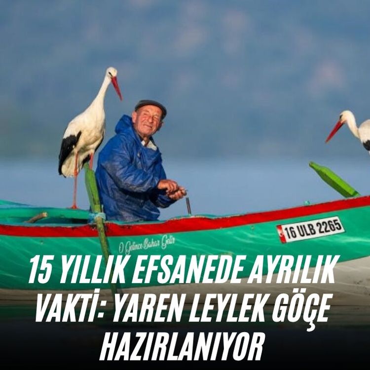 15 yıllık efsanede ayrılık vakti: Yaren leylek göçe hazırlanıyor