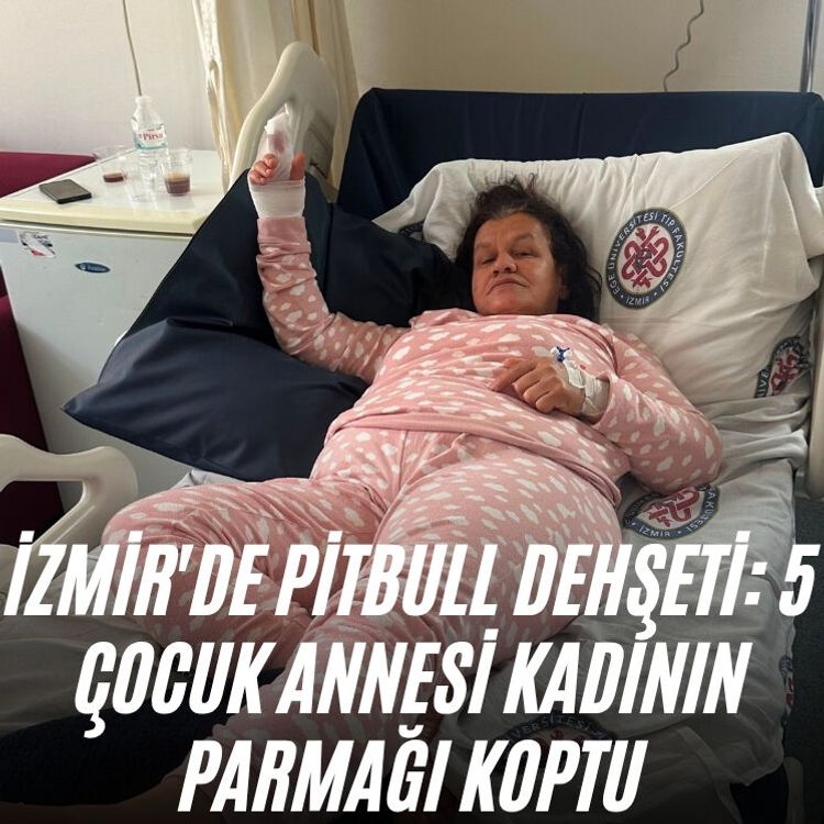 İzmir'de pitbull saldırısı: 5 çocuk annesi kadının parmağı koptu