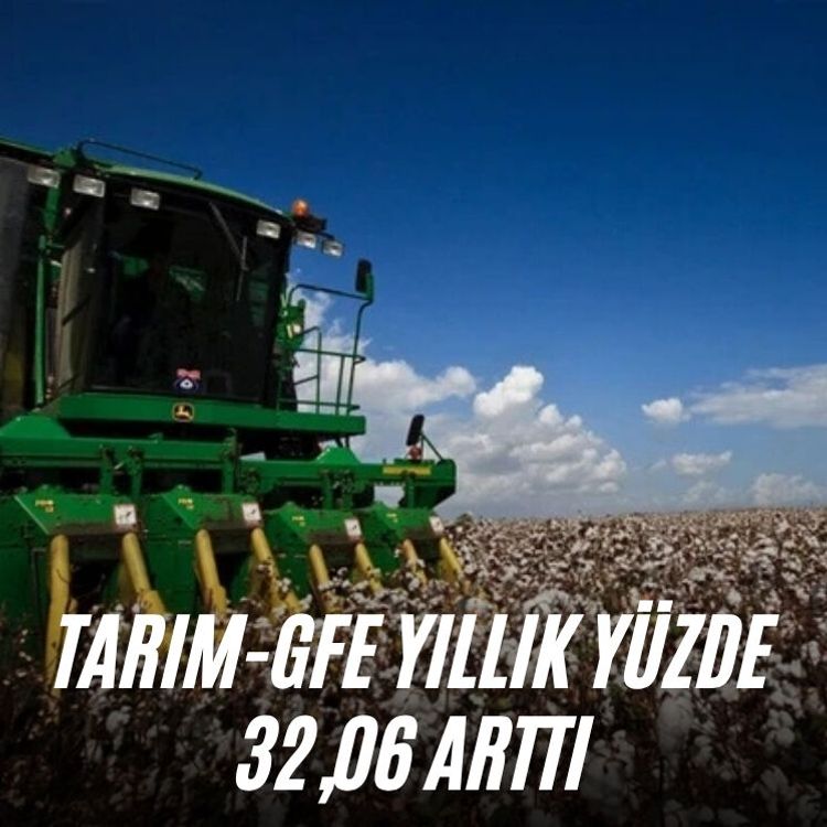 Tarım-GFE yıllık yüzde 32,06 arttı