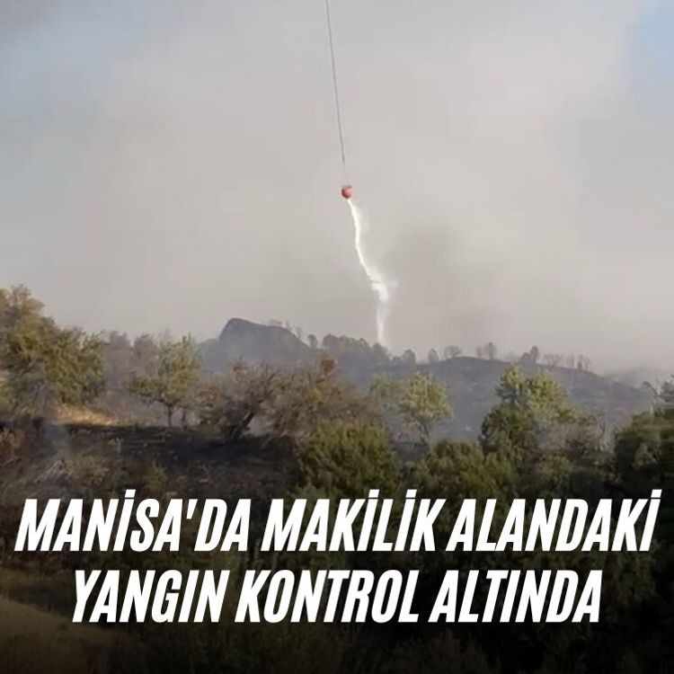 Manisa'da makilik alandaki yangın kontrol altında