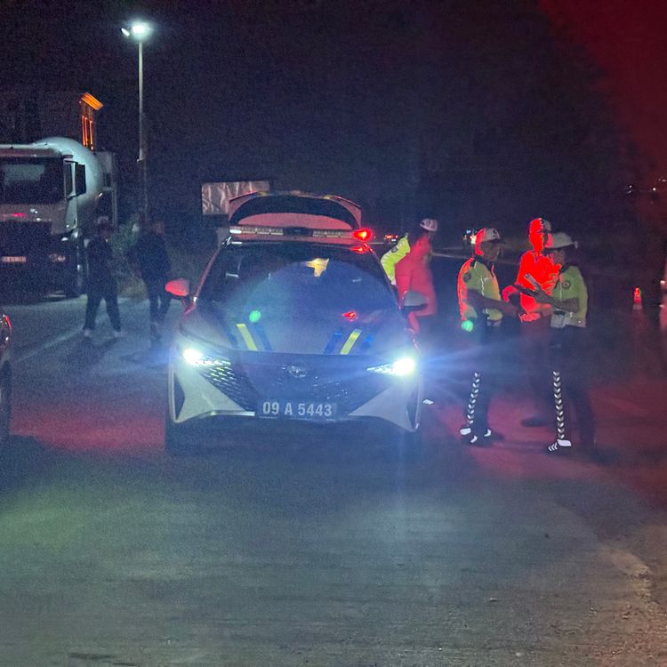 Domuza çarpmamak için manevra yaptı, takla attı