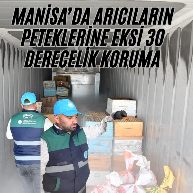 Manisa’da arıcıların peteklerine eksi 30 derecelik koruma