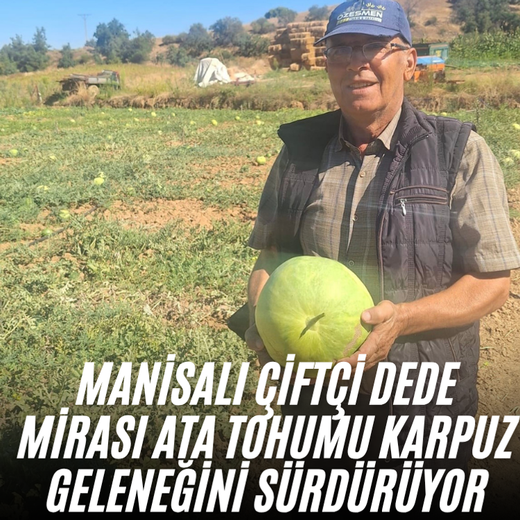 Manisalı çiftçi dede mirası ata tohumu karpuz geleneğini sürdürüyor