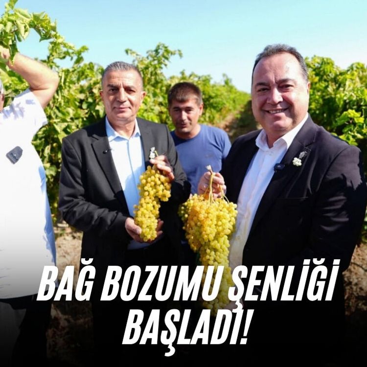 Bağ Bozumu Şenliği başladı!