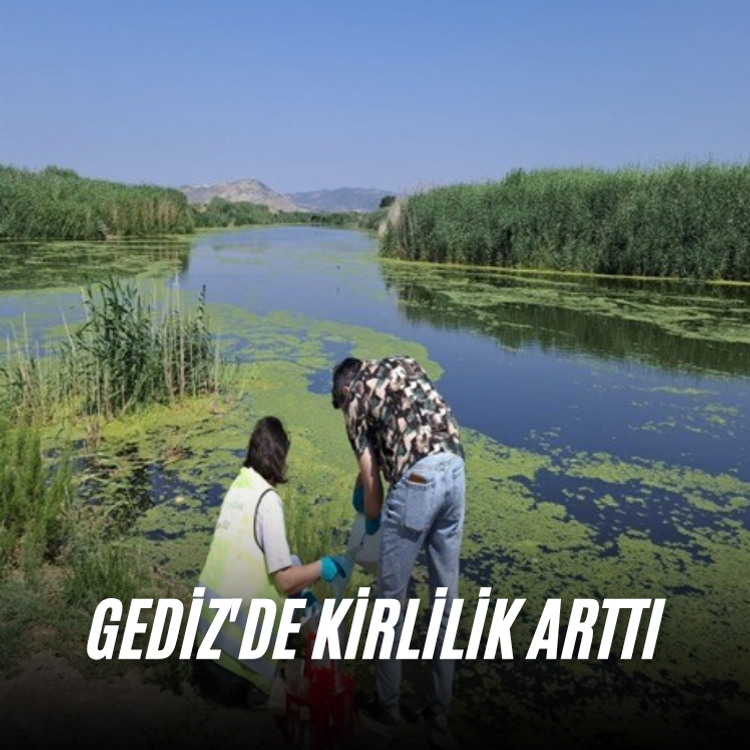 Gediz'de kirlilik arttı