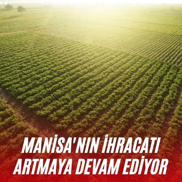 Manisa'nın ihracatı artmaya devam ediyor
