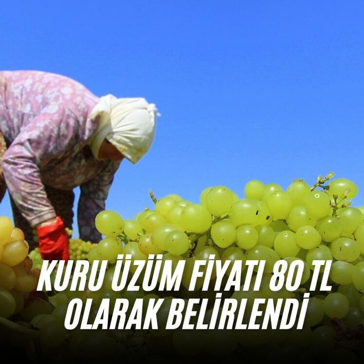 Kuru Üzüm fiyatı 80 TL olarak belirlendi