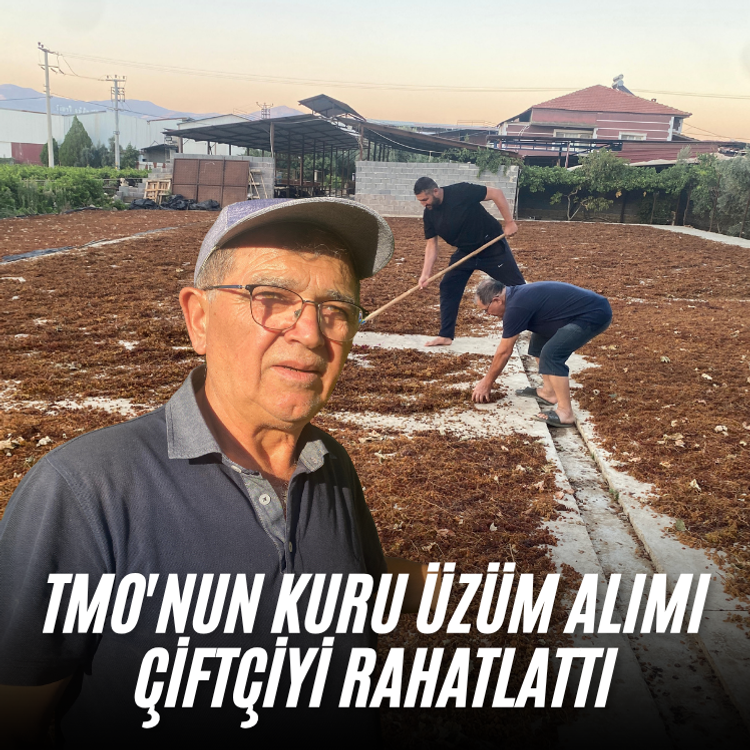 TMO'nun kuru üzüm alımı çiftçiyi rahatlattı