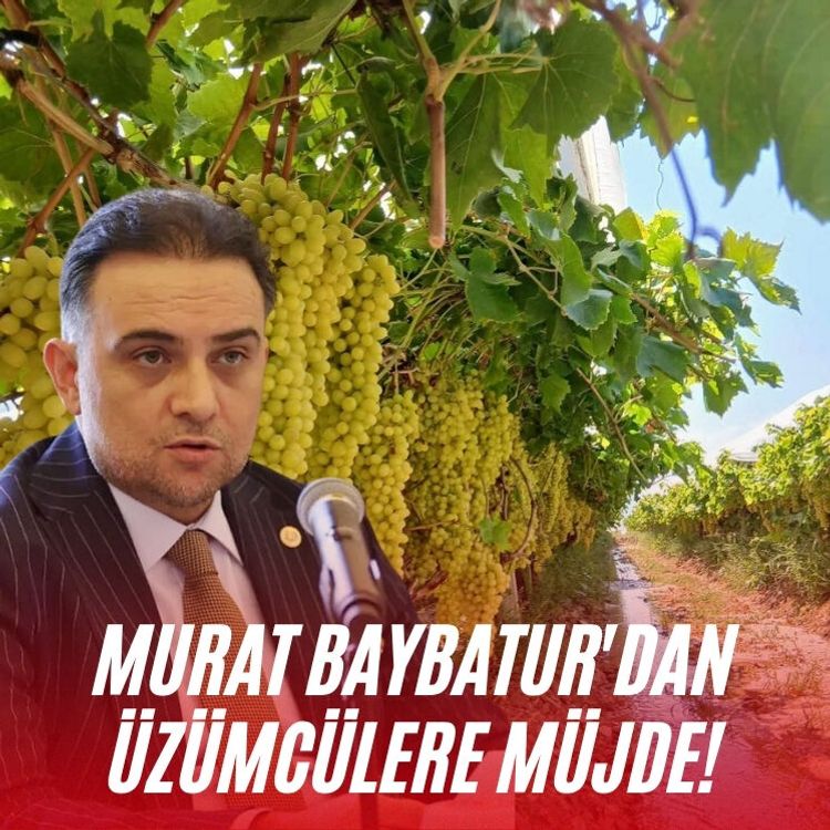 Murat Baybatur'dan üzümcülere müjde!