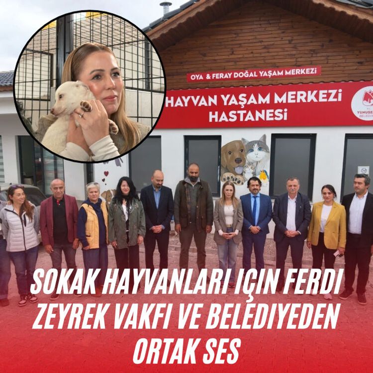Sokak hayvanları için Ferdi Zeyrek Vakfı ve Belediyeden ortak ses