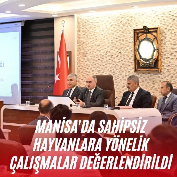 Manisa'da sahipsiz hayvanlara yönelik çalışmalar değerlendirildi