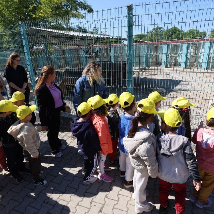 Minikler bakımevindeki hayvanları ziyaret etti