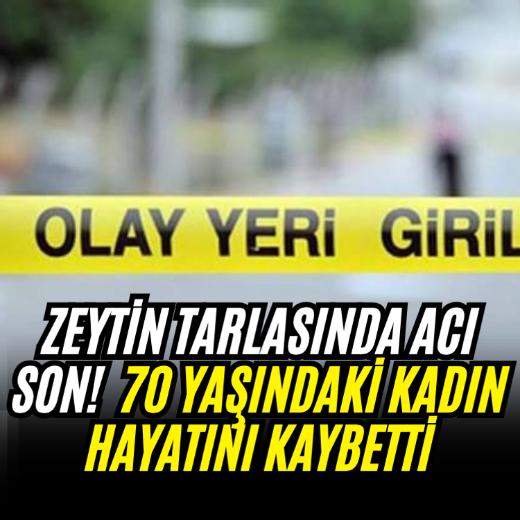 Zeytin tarlasında acı son!  70 yaşındaki kadın hayatını kaybetti
