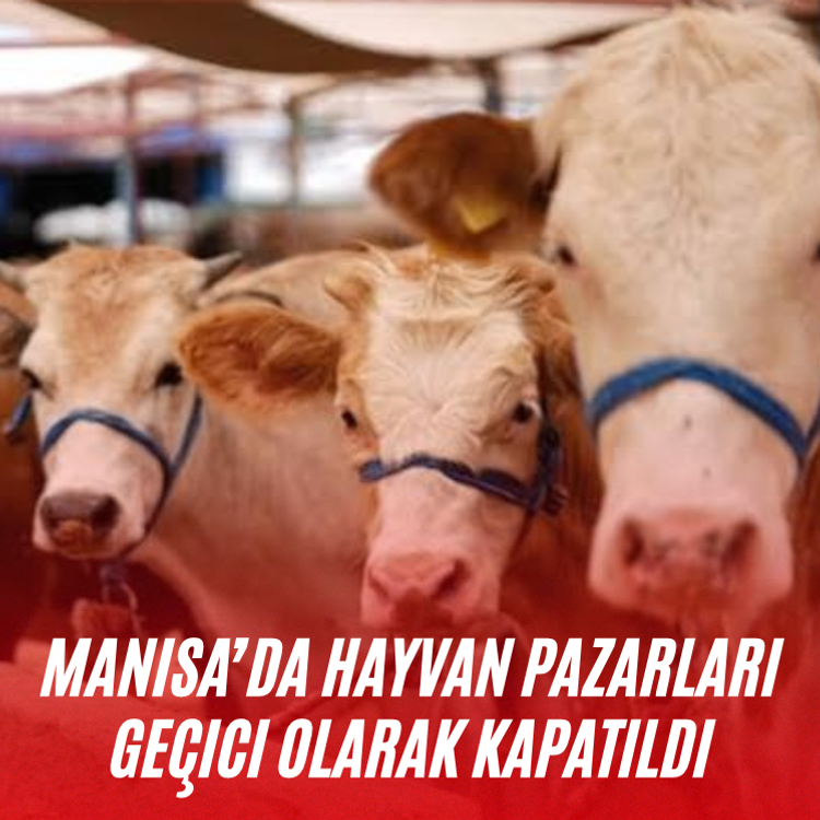 Manisa’da hayvan pazarları geçici olarak kapatıldı