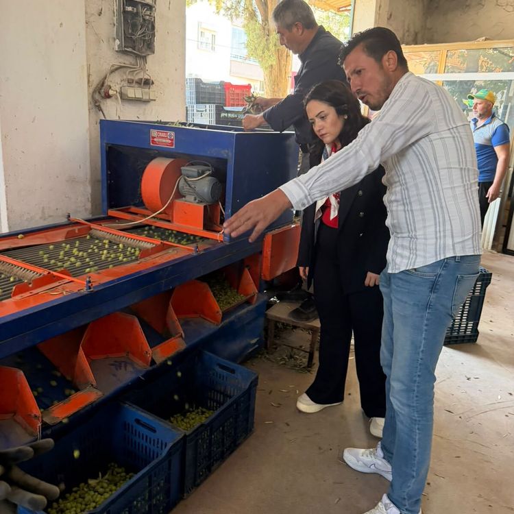 İYİ Parti'den zeytinciye destek çağrısı