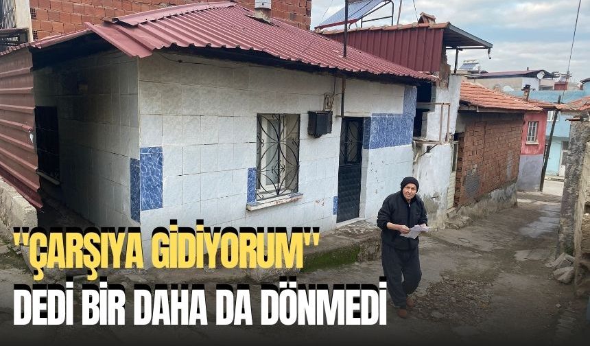 "Çarşıya gidiyorum" dedi bir daha da dönmedi