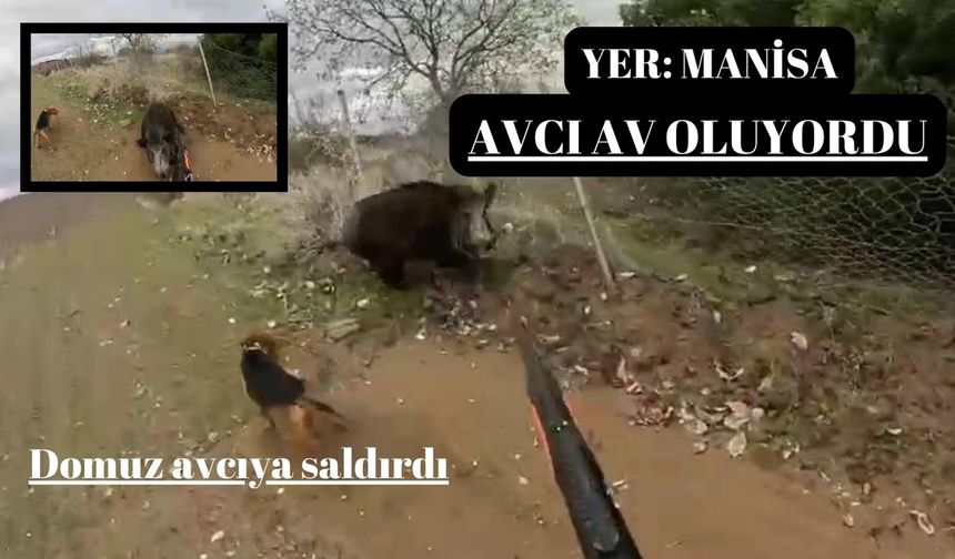 Avcı Av Oluyordu