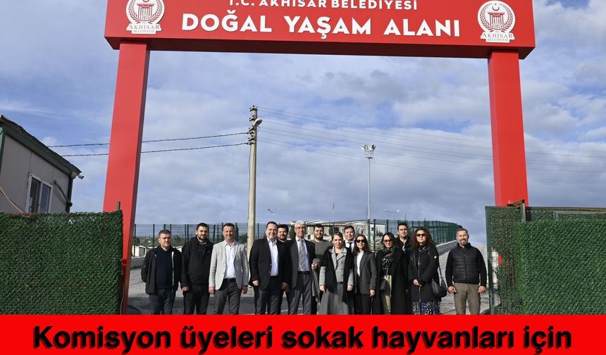 Komisyon üyeleri sokak hayvanları için Akhisar’da toplandı