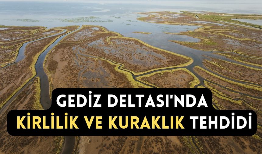 Gediz Deltası'nda kirlilik ve kuraklık tehdidi