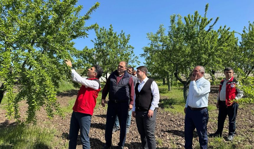 Don afetinden zarar gören çiftçilerin nisan sonuna kadar başvuruda bulunması gerekiyor