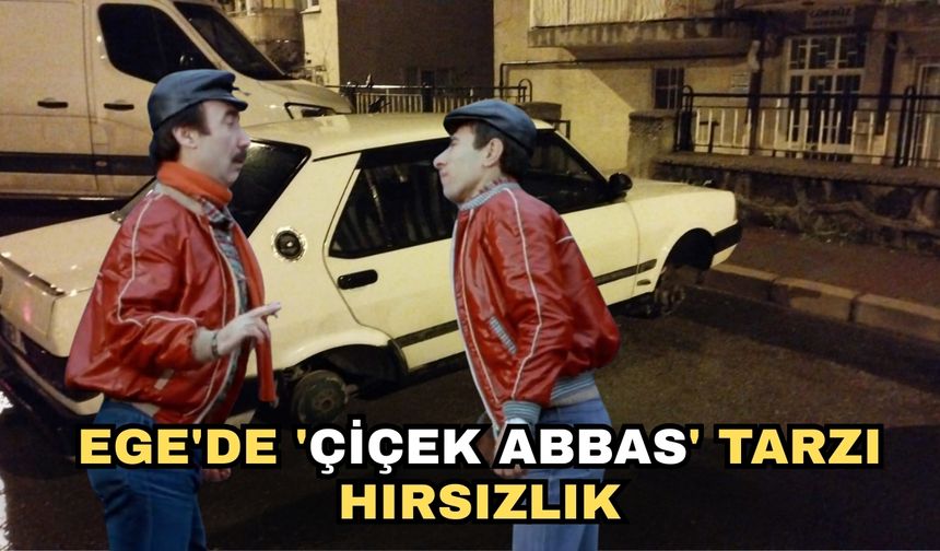 Ege'de 'Çiçek Abbas' tarzı hırsızlık