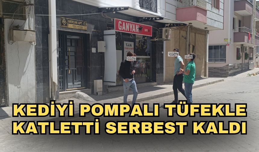 Kediyi pompalı tüfekle katletti serbest kaldı