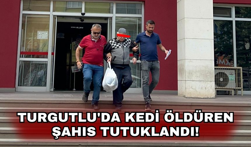 Turgutlu'da kedi öldüren şahıs tutuklandı!