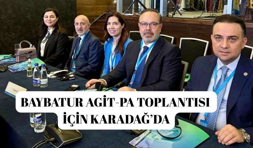 Baybatur AGİT-PA Toplantısında