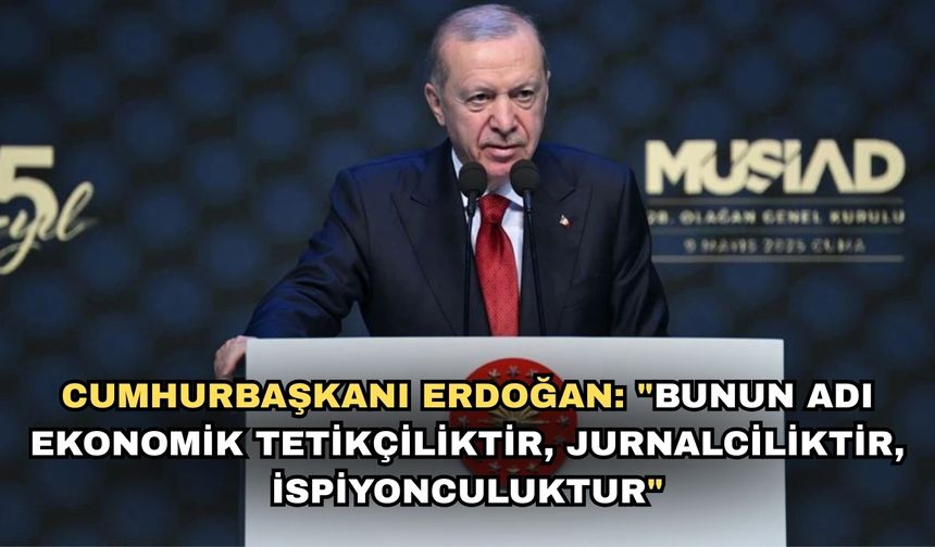 Cumhurbaşkanı Erdoğan: "Bunun adı ekonomik tetikçiliktir, jurnalciliktir, ispiyonculuktur"