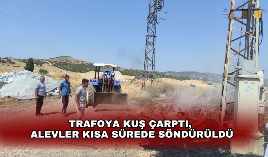 Trafoya kuş çarptı, alevler kısa sürede söndürüldü