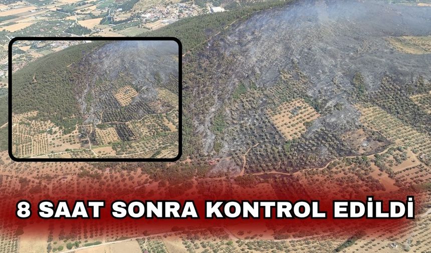 Ormanlık alanda çıkan yangın kontrol altında