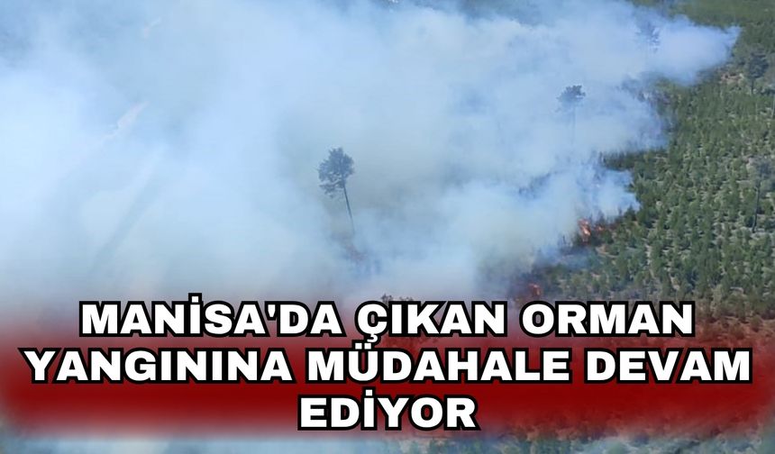 Manisa'da çıkan orman yangınına müdahale devam ediyor