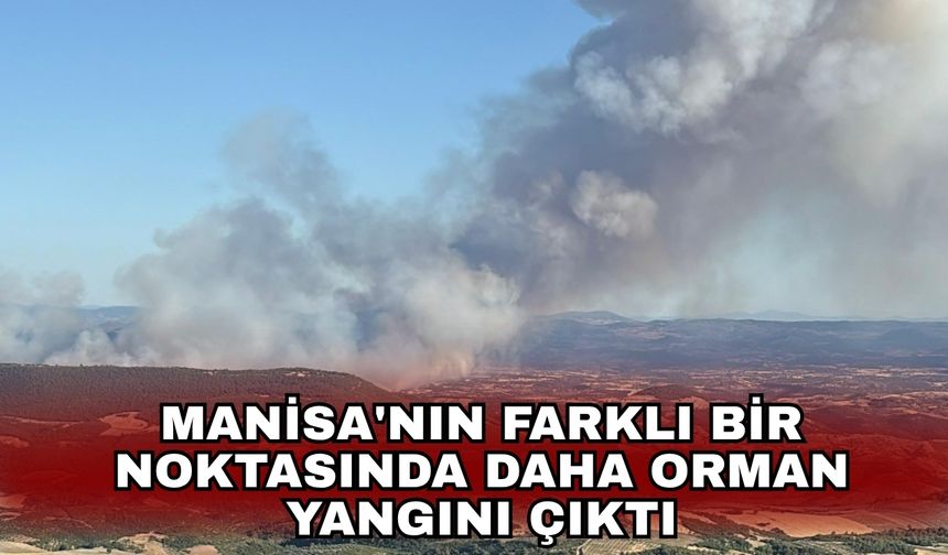 Manisa'nın farklı bir noktasında daha orman yangını çıktı