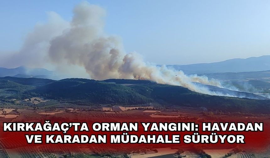 Kırkağaç’ta orman yangını: Havadan ve karadan müdahale sürüyor