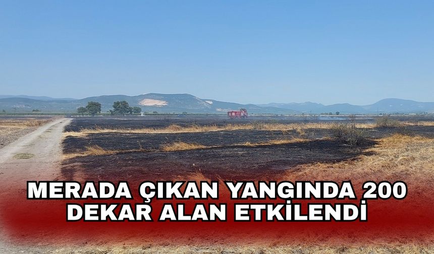Merada çıkan yangında 200 dekar alan etkilendi