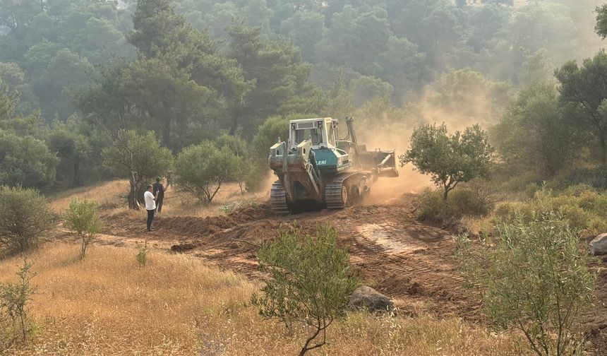 Manisa'nın Ahmetli ilçesindeki orman yangınına müdahale sürüyor