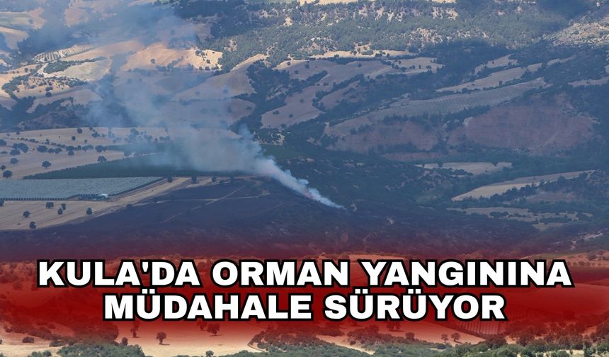 Kula'da orman yangınına müdahale sürüyor