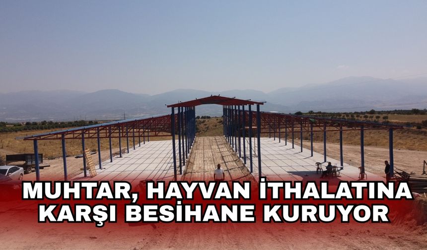 Muhtar, hayvan ithalatına karşı besihane kuruyor