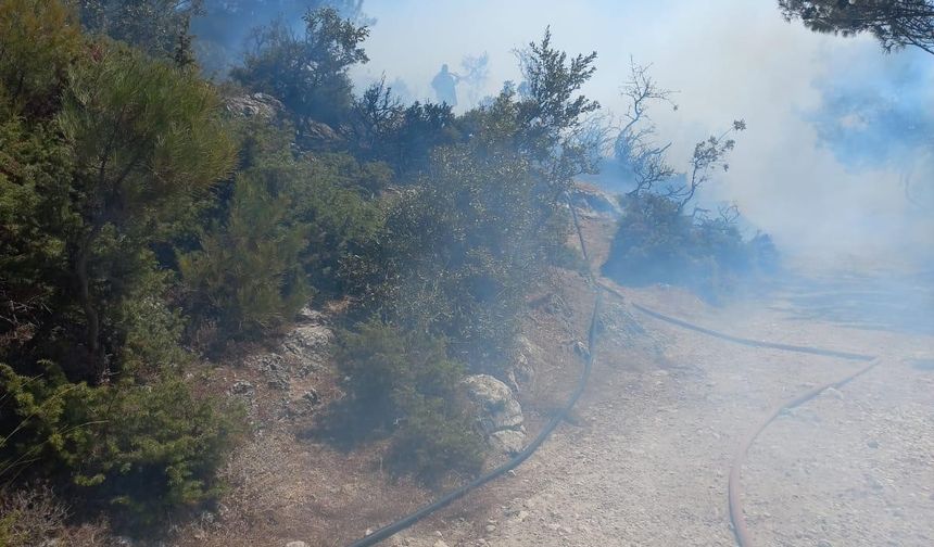 Kırkağaç’ta orman yangını kısa sürede kontrol altına alındı