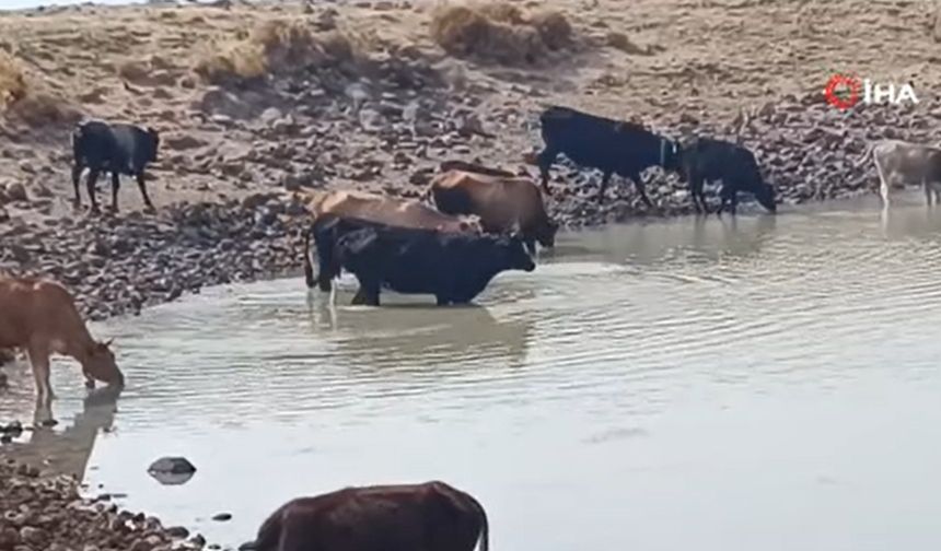 Köylüye ve doğaya hayat veren göletler kuruyor