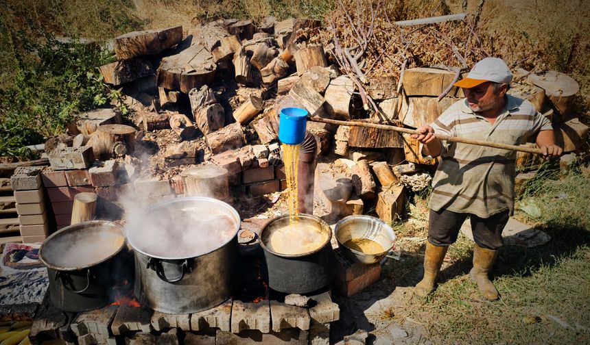 Gördes’te pekmez mesaisi başladı