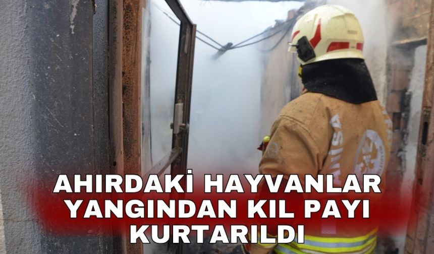 Ahırdaki hayvanlar yangından kıl payı kurtarıldı