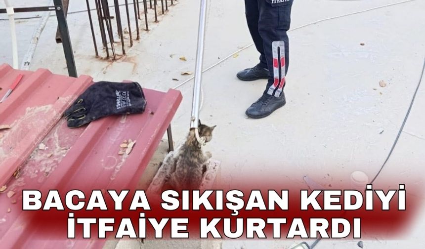 Bacaya sıkışan kediyi itfaiye kurtardı