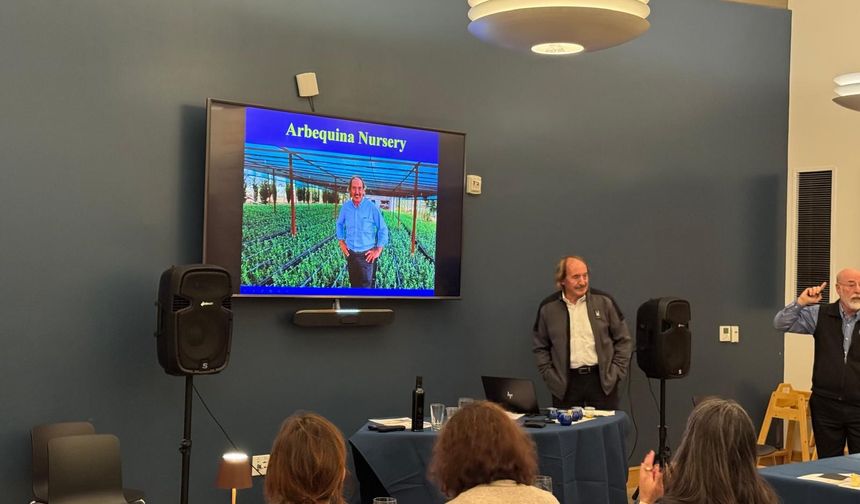 Türk zeytinyağına ABD'de büyük ilgi