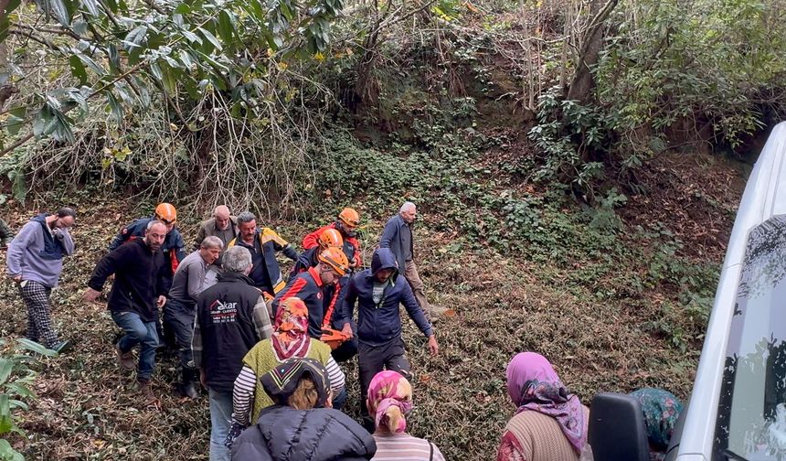 Kestiği ağacın çarptığı vatandaş uçuruma yuvarlandı