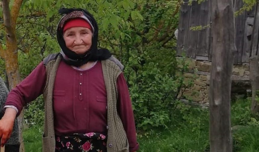 Çanakkale'de kaybolan Alzheimer hastası ölü bulundu